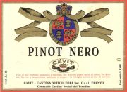 Pinot nero_Cavit 1970